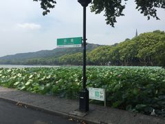 -湖畔居茶楼(湖滨店)