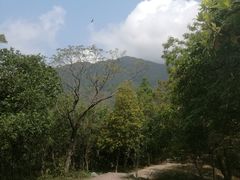 -梧桐山风景名胜区