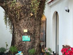 -澳门圣地牙哥古堡酒店