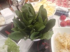 -草原传奇鲜羊火锅(桥北店)