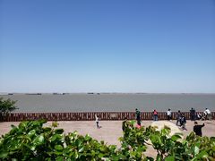-上海滨江森林公园