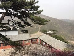 -妙峰山风景名胜区