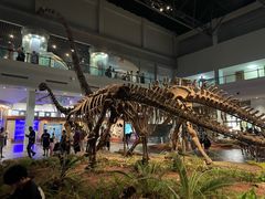-自贡恐龙博物馆