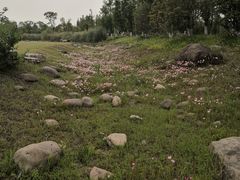 -滆湖低碳生态公园