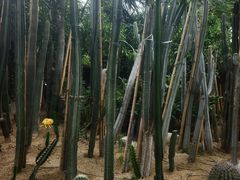 -祥源·阜阳生态乐园