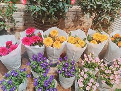 -双季花艺园艺市场(浦东店)