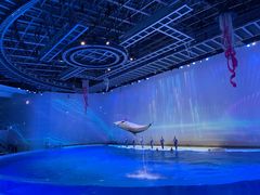 -上海海昌海洋公园