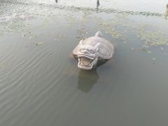 -昆山城市生态森林公园