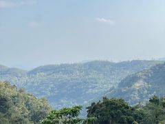 -海南热带雨林国家公园吊罗山景区