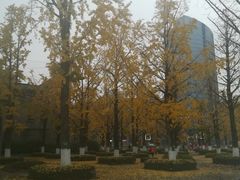 -百林公园-两江幸福广场
