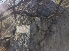 -阳台山自然风景区