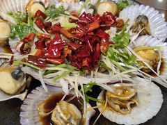 -鲁前海沿儿