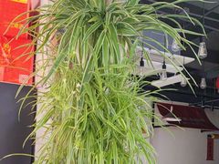 -永红源·小排档(闽江路店)