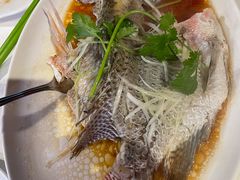 蒸鱼-饭饭掂