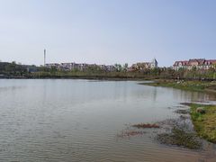 -九龙湖公园