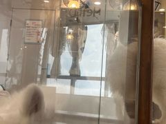 -共舞时光猫咖·狗咖(新街口店)