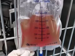 -特一安24小时宠物医院·骨科·中兽医