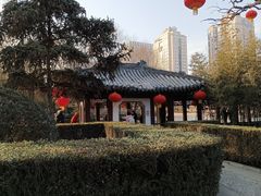 -团结湖公园