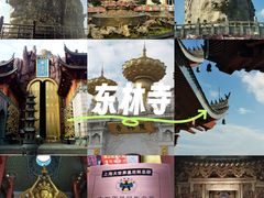 -上海东林寺(金山区)