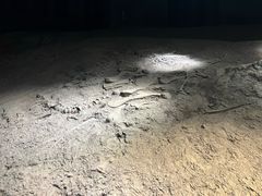 -世界恐龙谷景区