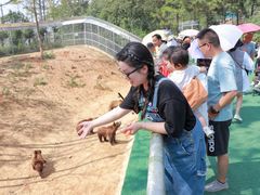 -安徽大青山野生动物世界
