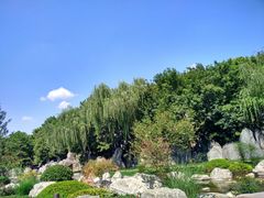 -唐御宴•御宴宫•唐代菜点(芙蓉西路店)