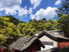 -爱情山风景区