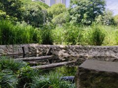 -成都市活水公园