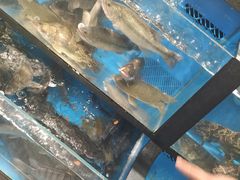 水产区-盒马鲜生(曜一城店)