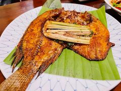 香茅草烤罗非鱼-紫滇源云南生态菜(丹凤街店)