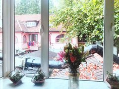 -蝶舍·MAISON PAPILLON