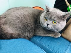 -佳怡动物医院·平价24小时·猫专科骨外科