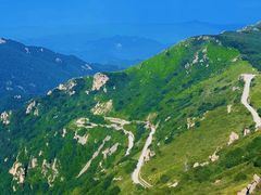 -白草畔自然风景区