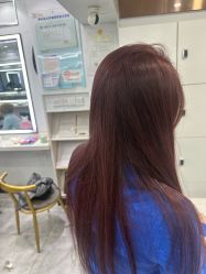 -镁连社·美联社