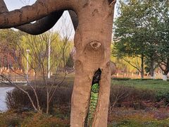 -白塘生态植物园