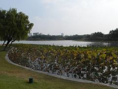 -东华大学(松江校区)
