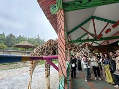 -贵州森林野生动物园