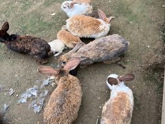 -云水涧亲子度假酒店