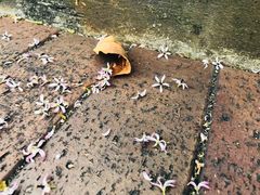 -香港理工大学