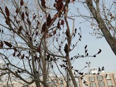 -渔公馆·川菜馆·家宴·生日宴(大地中央广场店)