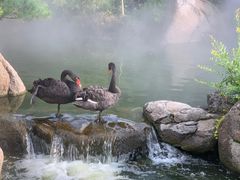 -罗红摄影艺术馆