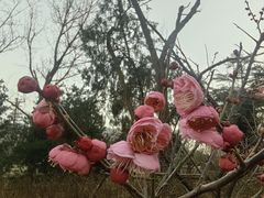 -渭滨公园
