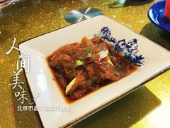老醋蛰头-大鸭梨烤鸭(金色漫香店)