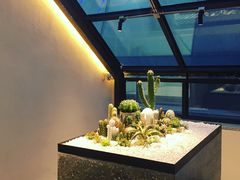 -大树餐厅(红旗街万达店)