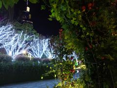 -胡桃里音乐酒馆(环亚凯瑟琳广场店)