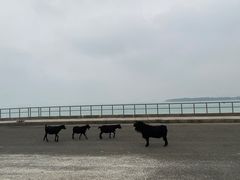 -东郊椰林