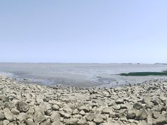 -上海吴淞炮台湾国家湿地公园