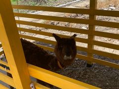 -美家乐农庄·露营·团建(大治路店)