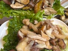 -爱膳菌锅锅(阳南店)