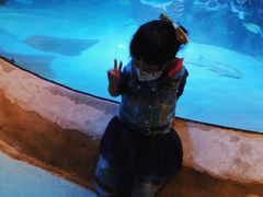 -沈阳海洋探索中心